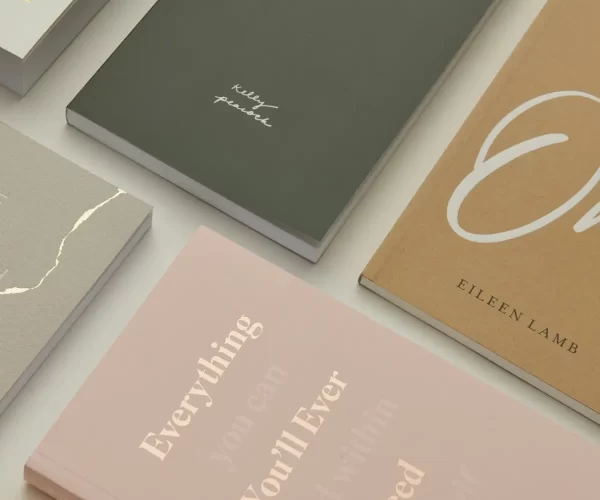 Portfolio Showcase - 3